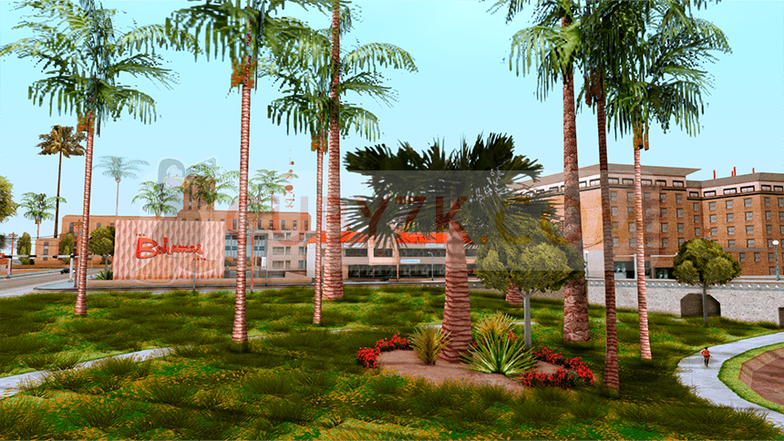 Next Gen Grass